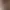 آیت الله شجاعی