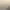 آیت الله ناصری (ره)