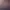 مرتضی معیری