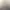 اباصلت ابراهیمی