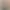 امین قدیم
